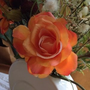 Meet your Posher, Teri